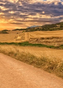 Camino de Santiago – Po stopách andělů (Lukáš Zajíček)