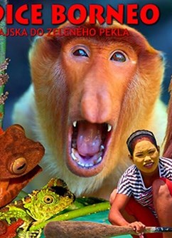 Kateřina a Miloš Motani: Expedice Borneo