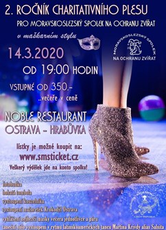 2. charitativní ples pro MSSOZ