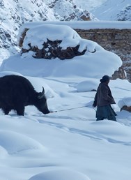 Po zamrzlé řece do srdce Himaláje - Chadar trek