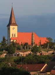 Po stopách opičky Emilky za mladým vrbeckým vínem