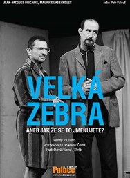 Velká zebra aneb jak že se to jmenujete?