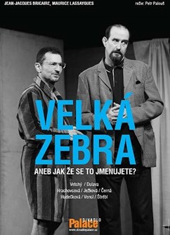 Velká zebra aneb jak že se to jmenujete?