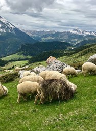 Přeběh treku Peaks of Balkans / Ondřej Švirák