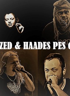 ReDZeD & HaaDeS PeS