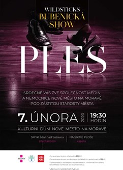 Společenský ples MEDIN a Nemocnice Nové Město na Moravě