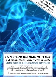 Psychoneuroimulogie: 6 dimenzí léčení poruch imunity