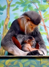 Zoologická zahrada Chleby