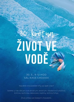 Život ve vodě