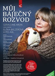 Geraldine Aron: Můj báječný rozvod