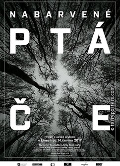 Nabarvené ptáče