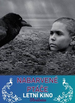 Nabarvené ptáče