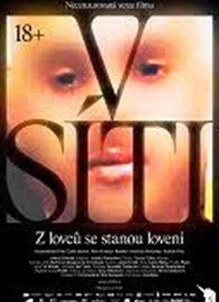 V síti 18+  (ČR)  2D