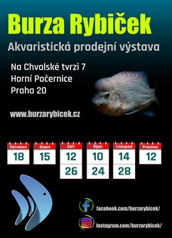 Burza rybiček - prodejní výstava akvarijních ryb