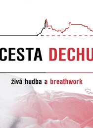 Cesta Dechu Brno