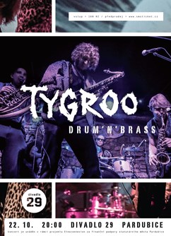 Tygroo