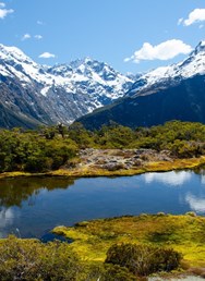 ONLINE: Rok na Novém Zélandu