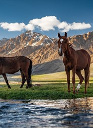 ONLINE: Kyrgyzstán a Tádžikistán - Střední Asie (P. Svoboda)