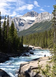 ONLINE: 1200 km kanadskou divočinou (Martin Úbl)