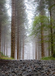 ONLINE: 840 km sám pěšky přes Pyreneje (Jakub Šolc)