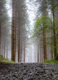 ONLINE: 840 km sám pěšky přes Pyreneje (Jakub Šolc)