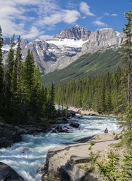 1200 km kanadskou divočinou: Great Divide Trail