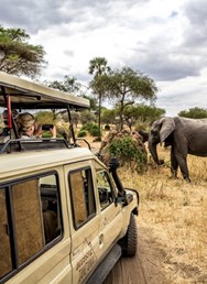 ONLINE: Tanzanie se zebrami pod hvězdami (Jan Papež)