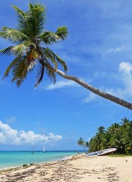 ONLINE: Z kanclu kolem světa (Karel Štěpánek)