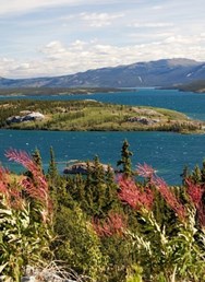 ONLINE: Aljaška – divoká a krásná země! (Miloslav Martan)