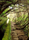 ONLINE: Madeira – klenot Atlantiku za dveřmi (M. Němcová) ONLINE: Madeira – klenot Atlantiku za dveřmi (M. Němcová)