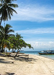 ONLINE: Filipíny - tropický ráj (Milada Řeháková)
