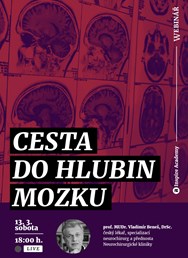 Webinář: Vladimír Beneš: Cesta do hlubin mozku