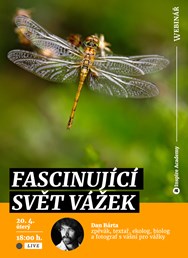 Webinář: Fascinující svět vážek