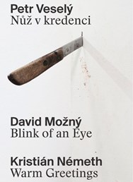 Petr Veselý / David Možný / Kristián Németh