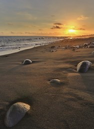 ONLINE: Reunion - Havaj Indického oceánu