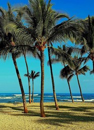 Jiří Kolbaba – To je Havaj! 