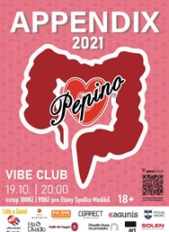 Appendix 2021