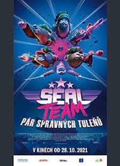 Seal Team: Pár správných tuleňů  (JAR)  2D