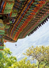  ONLINE: Národní parky Jižní Koreji (Dominik Franěk)