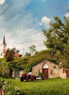 Po stopách opičky Emilky za mladým vrbeckým vínem