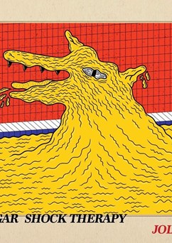 Jolphin