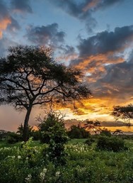 Pavel Svoboda: Tanzanie - poprvé v Africe!