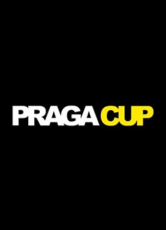 Lednový turnaj v malém fotbale