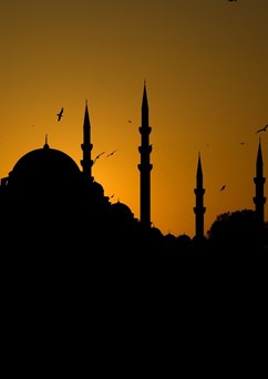ONLINE: Istanbul - brána do Orientu (Miloslav Martan)