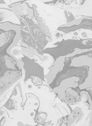 Ghost of you, Chief Bromden, Mara Jade v DEPU