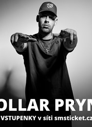 Dollar Prync v Lucerně