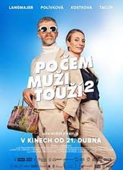 Po čem muži touží 2  (ČR)  2D