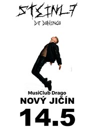 STEIN27 / MusiClub Drago