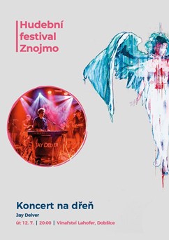 Koncert na dřeň 