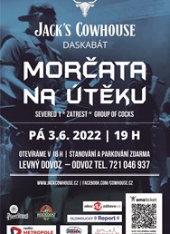 Morčata na útěku + hosté